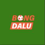 bongdaluthreehundred