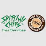 Spitting Chips