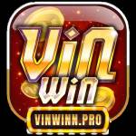 Vinwin
