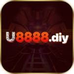 u8888 diy