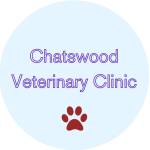 Chats Wood Vet