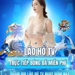 Lão Hổ TV