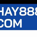 HAY888 COM