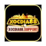 Xocdia88