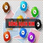 Rồng Bạch Kim 666 Rồng Bạch Kim 777 Cao Thủ Chốt Số 888 Bảng Lô Top