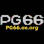 PG66