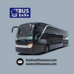 xoxo bus