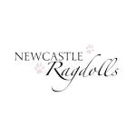Newcastle Ragdolls