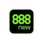 888new webcam