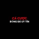 cacuocbongda