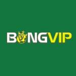 BONGVIP Cổng cá cược đỉnh cao