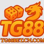 tg88bet cn com