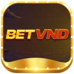 betvnd
