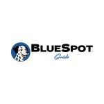 BlueSpot Guide