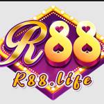 R 88
