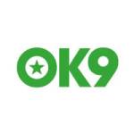 ok9 jogo  plataforma de jogos online