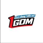 Link 1GOM