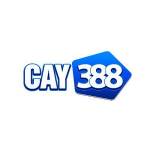 Nhà Cái CAY388