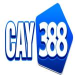 Cay388 cam