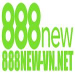 888new vn net
