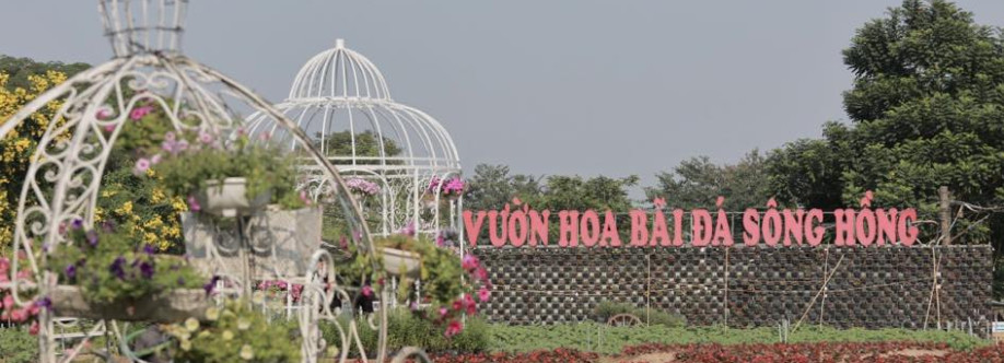 Bãi Đá Sông Hồng