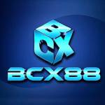 NHÀ CÁI BCX88