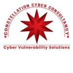 Constellation cyber consultancy