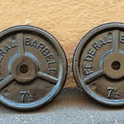 7.5KG FEDERAL BARBELL WEIGHTS - R450 A PAIR Profile Picture