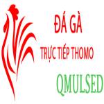 ĐÁ GÀ TRỰC TIẾP LYSET
