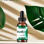 audizen store