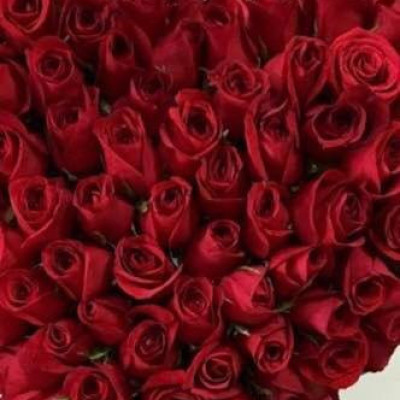 FLORES POR MAYOREO Profile Picture