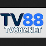 TV88Y Net