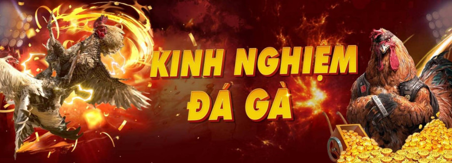 Diễn Đàn Đá Gà