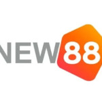 New88z net