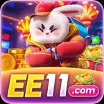 Ee11 co