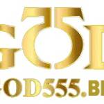 God555