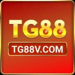 Tg88v com