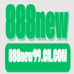 888new99 cn com