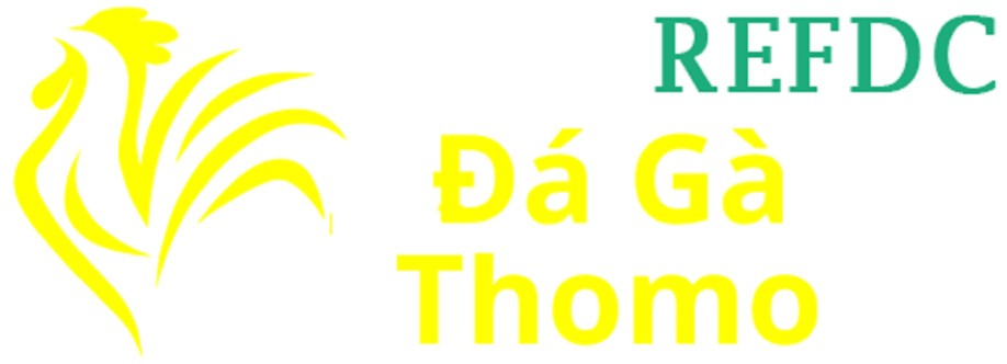 Đá Gà Trực Tiếp Thomo