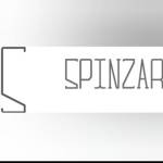 Spinzar Store