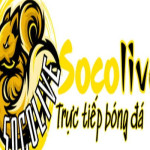 Socolive video