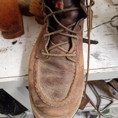 Reparación de zapatos botas chamarras bolsas tennis poner suelas cortar tacón boliar cintos pintar Profile Picture