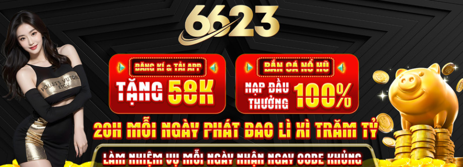 6623Vn net