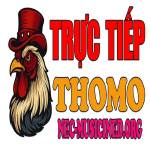 ĐÁ GÀ TRỰC TIẾP THOMO HÔM NAY
