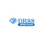 Dr88