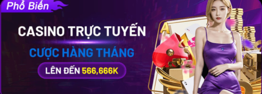 566 vn net