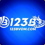 123B VOM