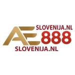 ĐÁ GÀ THOMO AE888