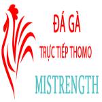 Đá Gà Trực Tiếp Thomo