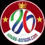 Hay88bongda com
